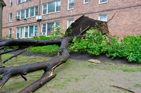 How Schools Plan to Recover from Hurricane Sandy 