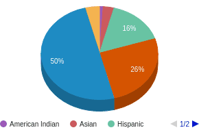 This chart display the percentage breakdown of public school students of all ethnic groups in NC. This chart display the percentage breakdown of public school students of all ethnic groups in NC.