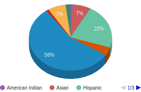 This chart display the percentage breakdown of public school students of all ethnic groups in WA. This chart display the percentage breakdown of public school students of all ethnic groups in WA.