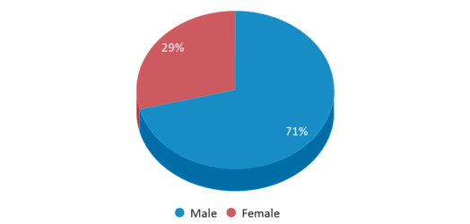 This chart displays gender of Mountain Vista Academy This chart displays gender of Mountain Vista Academy