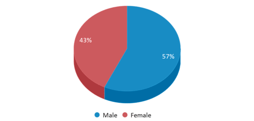 This chart displays gender of Winston Academy Of Engineering This chart displays gender of Winston Academy Of Engineering