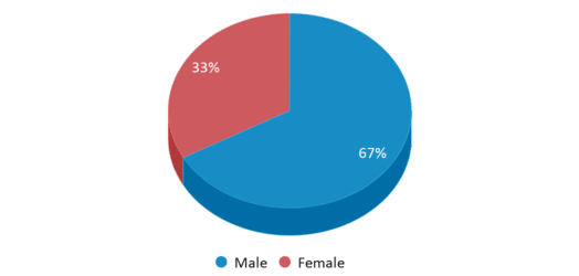 This chart displays gender of Dupuyer School This chart displays gender of Dupuyer School