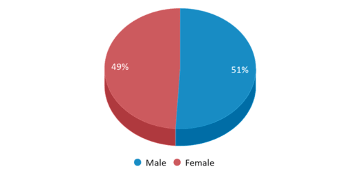 This chart displays gender of Pines Lake Elementary School This chart displays gender of Pines Lake Elementary School