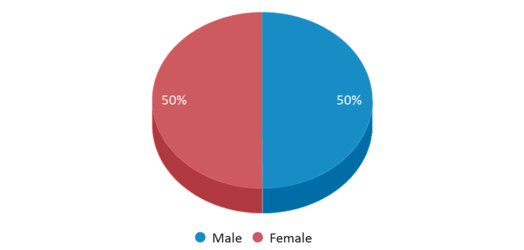 This chart displays gender of Rio Vista Elementary School This chart displays gender of Rio Vista Elementary School