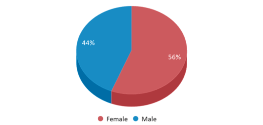This chart displays gender of Pleasant View Elementary School This chart displays gender of Pleasant View Elementary School