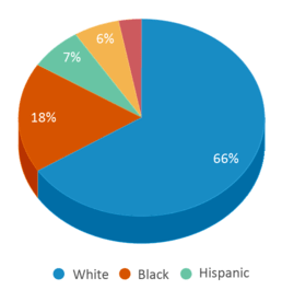 This chart displays the percentage breakdown of students of all ethnic groups in Webster Elementary School. This chart displays the percentage breakdown of students of all ethnic groups in Webster Elementary School.