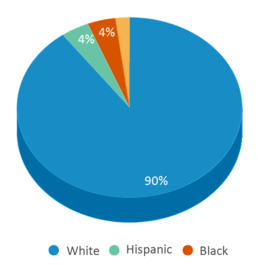 This chart displays the percentage breakdown of students of all ethnic groups in Central High School. This chart displays the percentage breakdown of students of all ethnic groups in Central High School.