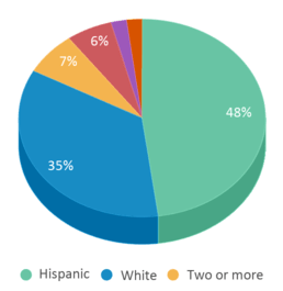 This chart displays the percentage breakdown of students of all ethnic groups in Mckinley Elementary School. This chart displays the percentage breakdown of students of all ethnic groups in Mckinley Elementary School.