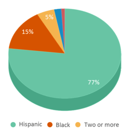 This chart displays the percentage breakdown of students of all ethnic groups in Howard Inghram Elementary School. This chart displays the percentage breakdown of students of all ethnic groups in Howard Inghram Elementary School.
