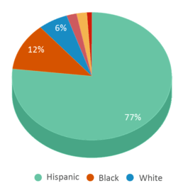This chart displays the percentage breakdown of students of all ethnic groups in Ramona. This chart displays the percentage breakdown of students of all ethnic groups in Ramona.