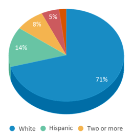 This chart displays the percentage breakdown of students of all ethnic groups in Gavilan Peak School. This chart displays the percentage breakdown of students of all ethnic groups in Gavilan Peak School.