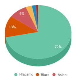 This chart displays the percentage breakdown of students of all ethnic groups in Mckinley Elementary School. This chart displays the percentage breakdown of students of all ethnic groups in Mckinley Elementary School.