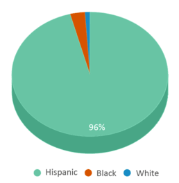 This chart displays the percentage breakdown of students of all ethnic groups in Mater Academy Charter Middle School. This chart displays the percentage breakdown of students of all ethnic groups in Mater Academy Charter Middle School.