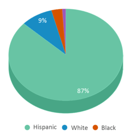 This chart displays the percentage breakdown of students of all ethnic groups in Terranova Charter School. This chart displays the percentage breakdown of students of all ethnic groups in Terranova Charter School.