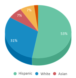 This chart displays the percentage breakdown of students of all ethnic groups in Willow Glen High School. This chart displays the percentage breakdown of students of all ethnic groups in Willow Glen High School.