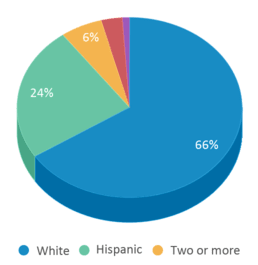 This chart displays the percentage breakdown of students of all ethnic groups in Oakview Community Elementary School. This chart displays the percentage breakdown of students of all ethnic groups in Oakview Community Elementary School.