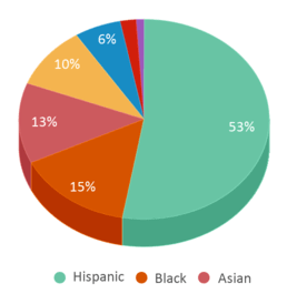 This chart displays the percentage breakdown of students of all ethnic groups in Mckinley Elementary School. This chart displays the percentage breakdown of students of all ethnic groups in Mckinley Elementary School.