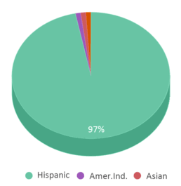 This chart displays the percentage breakdown of students of all ethnic groups in Romero-cruz Academy. This chart displays the percentage breakdown of students of all ethnic groups in Romero-cruz Academy.