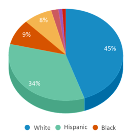 This chart displays the percentage breakdown of students of all ethnic groups in Gateway Elementary School. This chart displays the percentage breakdown of students of all ethnic groups in Gateway Elementary School.