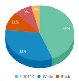 This chart displays the percentage breakdown of students of all ethnic groups in Columbus School. This chart displays the percentage breakdown of students of all ethnic groups in Columbus School.