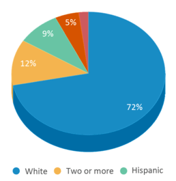 This chart displays the percentage breakdown of students of all ethnic groups in Liberty Elementary School. This chart displays the percentage breakdown of students of all ethnic groups in Liberty Elementary School.