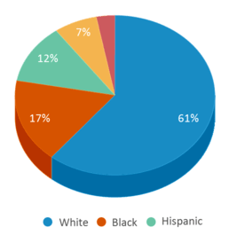 This chart displays the percentage breakdown of students of all ethnic groups in Christiana Middle School. This chart displays the percentage breakdown of students of all ethnic groups in Christiana Middle School.