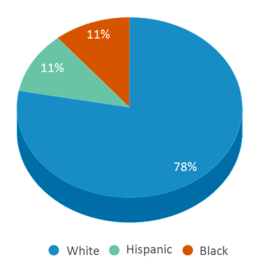 This chart displays the percentage breakdown of students of all ethnic groups in Trinity Lutheran School. This chart displays the percentage breakdown of students of all ethnic groups in Trinity Lutheran School.