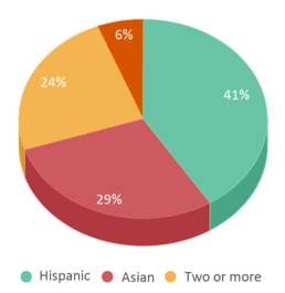 This chart displays the percentage breakdown of students of all ethnic groups in Central County Special Education Programs. This chart displays the percentage breakdown of students of all ethnic groups in Central County Special Education Programs.