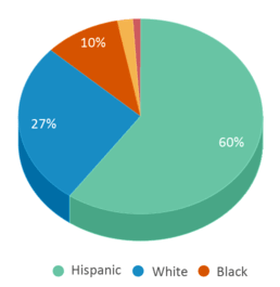 This chart displays the percentage breakdown of students of all ethnic groups in Palmetto Ridge High School. This chart displays the percentage breakdown of students of all ethnic groups in Palmetto Ridge High School.