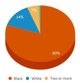 This chart displays the percentage breakdown of students of all ethnic groups in Eagle Ridge Elementary School. This chart displays the percentage breakdown of students of all ethnic groups in Eagle Ridge Elementary School.
