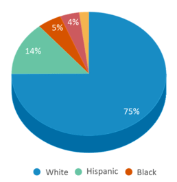 This chart displays the percentage breakdown of students of all ethnic groups in Lakes Community High School. This chart displays the percentage breakdown of students of all ethnic groups in Lakes Community High School.