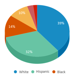 This chart displays the percentage breakdown of students of all ethnic groups in Scherkenbach William & Mary Elementary School. This chart displays the percentage breakdown of students of all ethnic groups in Scherkenbach William & Mary Elementary School.