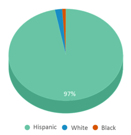This chart displays the percentage breakdown of students of all ethnic groups in West New York Middle School. This chart displays the percentage breakdown of students of all ethnic groups in West New York Middle School.