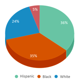 This chart displays the percentage breakdown of students of all ethnic groups in Junior High School 17 Lasalle School. This chart displays the percentage breakdown of students of all ethnic groups in Junior High School 17 Lasalle School.