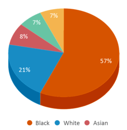 This chart displays the percentage breakdown of students of all ethnic groups in Akron Alternative Academy. This chart displays the percentage breakdown of students of all ethnic groups in Akron Alternative Academy.