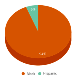 This chart displays the percentage breakdown of students of all ethnic groups in Khepera Charter School. This chart displays the percentage breakdown of students of all ethnic groups in Khepera Charter School.