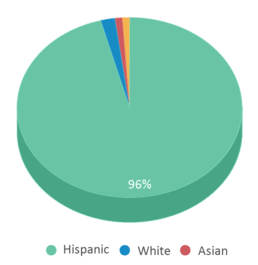 This chart displays the percentage breakdown of students of all ethnic groups in Horizon Montessori - Stem Academy. This chart displays the percentage breakdown of students of all ethnic groups in Horizon Montessori - Stem Academy.