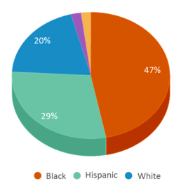 This chart displays the percentage breakdown of students of all ethnic groups in Forney Learning Academy. This chart displays the percentage breakdown of students of all ethnic groups in Forney Learning Academy.