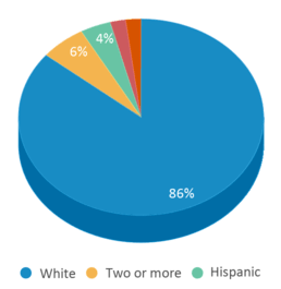 This chart displays the percentage breakdown of students of all ethnic groups in Kenwood Station Elementary School. This chart displays the percentage breakdown of students of all ethnic groups in Kenwood Station Elementary School.