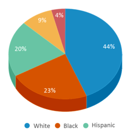 This chart displays the percentage breakdown of students of all ethnic groups in Scales Elementary School. This chart displays the percentage breakdown of students of all ethnic groups in Scales Elementary School.