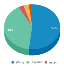 This chart displays the percentage breakdown of students of all ethnic groups in Coventry Elementary School. This chart displays the percentage breakdown of students of all ethnic groups in Coventry Elementary School.