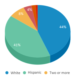 This chart displays the percentage breakdown of students of all ethnic groups in Soquel Elementary School. This chart displays the percentage breakdown of students of all ethnic groups in Soquel Elementary School.