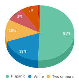 This chart displays the percentage breakdown of students of all ethnic groups in Fairmont Charter Elementary School. This chart displays the percentage breakdown of students of all ethnic groups in Fairmont Charter Elementary School.