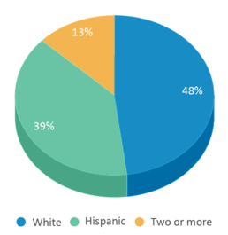 This chart displays the percentage breakdown of students of all ethnic groups in Vista De Las Cruces. This chart displays the percentage breakdown of students of all ethnic groups in Vista De Las Cruces.