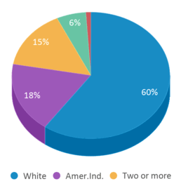 This chart displays the percentage breakdown of students of all ethnic groups in Silo Middle School. This chart displays the percentage breakdown of students of all ethnic groups in Silo Middle School.