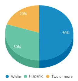 This chart displays the percentage breakdown of students of all ethnic groups in Red Bluff Community Day K-5. This chart displays the percentage breakdown of students of all ethnic groups in Red Bluff Community Day K-5.