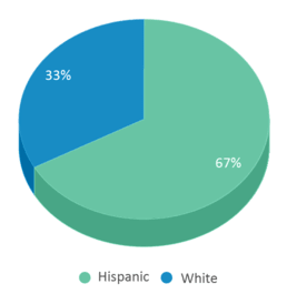 This chart displays the percentage breakdown of students of all ethnic groups in Margaret J. Kemp. This chart displays the percentage breakdown of students of all ethnic groups in Margaret J. Kemp.