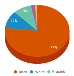 This chart displays the percentage breakdown of students of all ethnic groups in Marietta Charter School. This chart displays the percentage breakdown of students of all ethnic groups in Marietta Charter School.