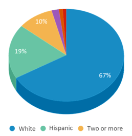 This chart displays the percentage breakdown of students of all ethnic groups in Forest Grove Community School. This chart displays the percentage breakdown of students of all ethnic groups in Forest Grove Community School.