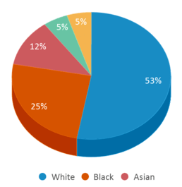 This chart displays the percentage breakdown of students of all ethnic groups in Sterling School. This chart displays the percentage breakdown of students of all ethnic groups in Sterling School.